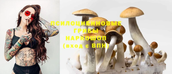 МДПВ Балабаново