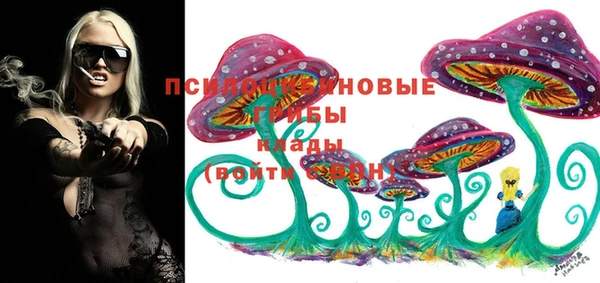 гидропоника Балахна